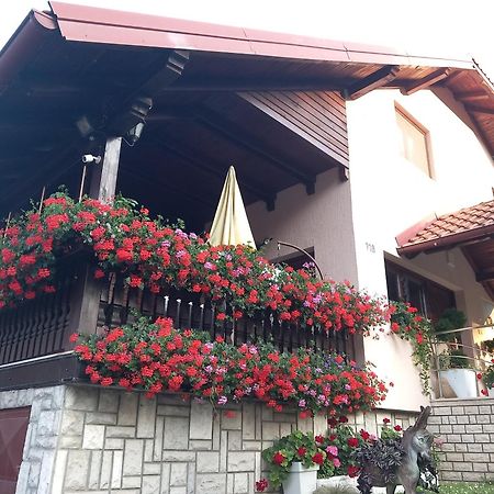 Apartment Vihor Zlatibor Buitenkant foto
