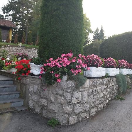 Apartment Vihor Zlatibor Buitenkant foto