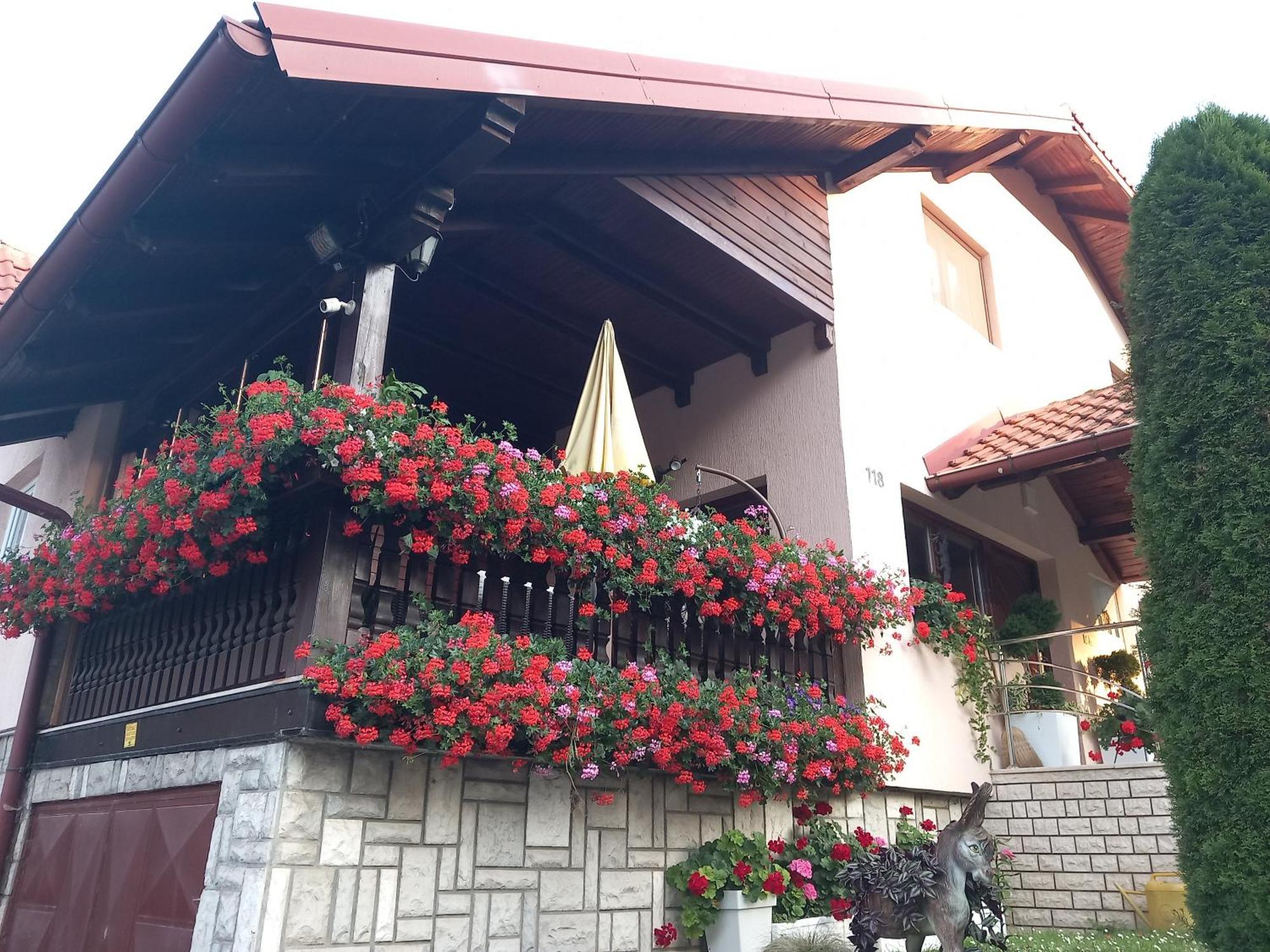 Apartment Vihor Zlatibor Buitenkant foto