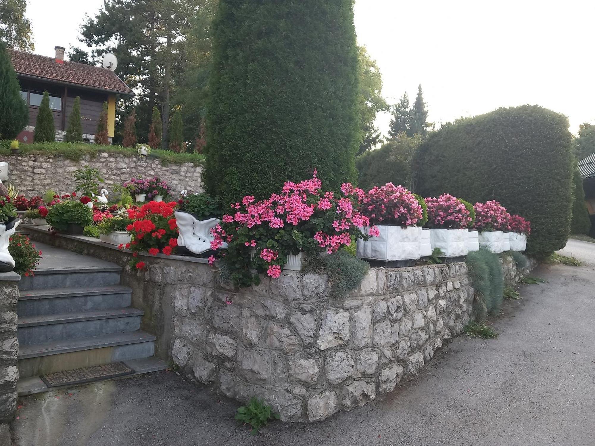 Apartment Vihor Zlatibor Buitenkant foto