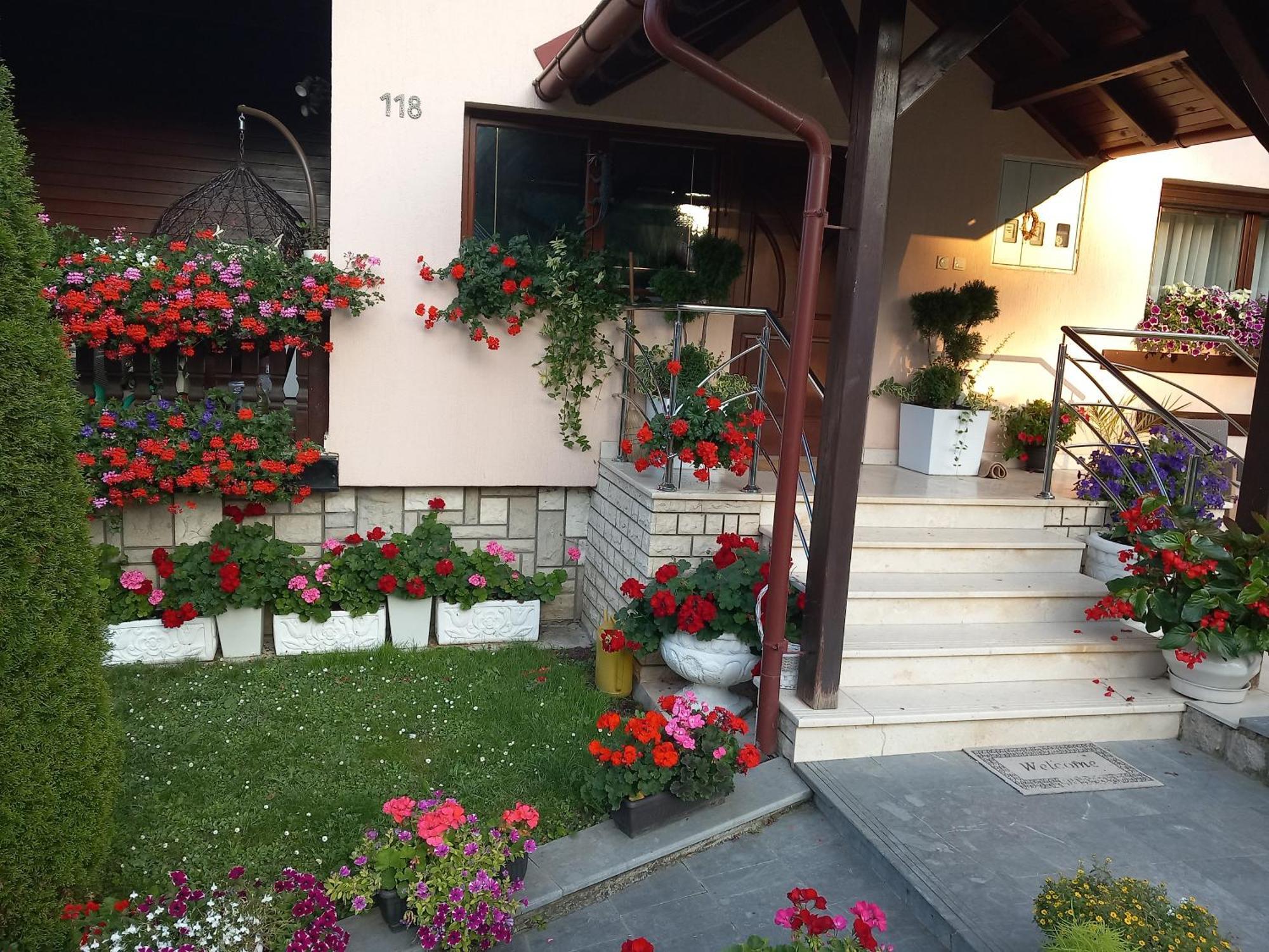 Apartment Vihor Zlatibor Buitenkant foto