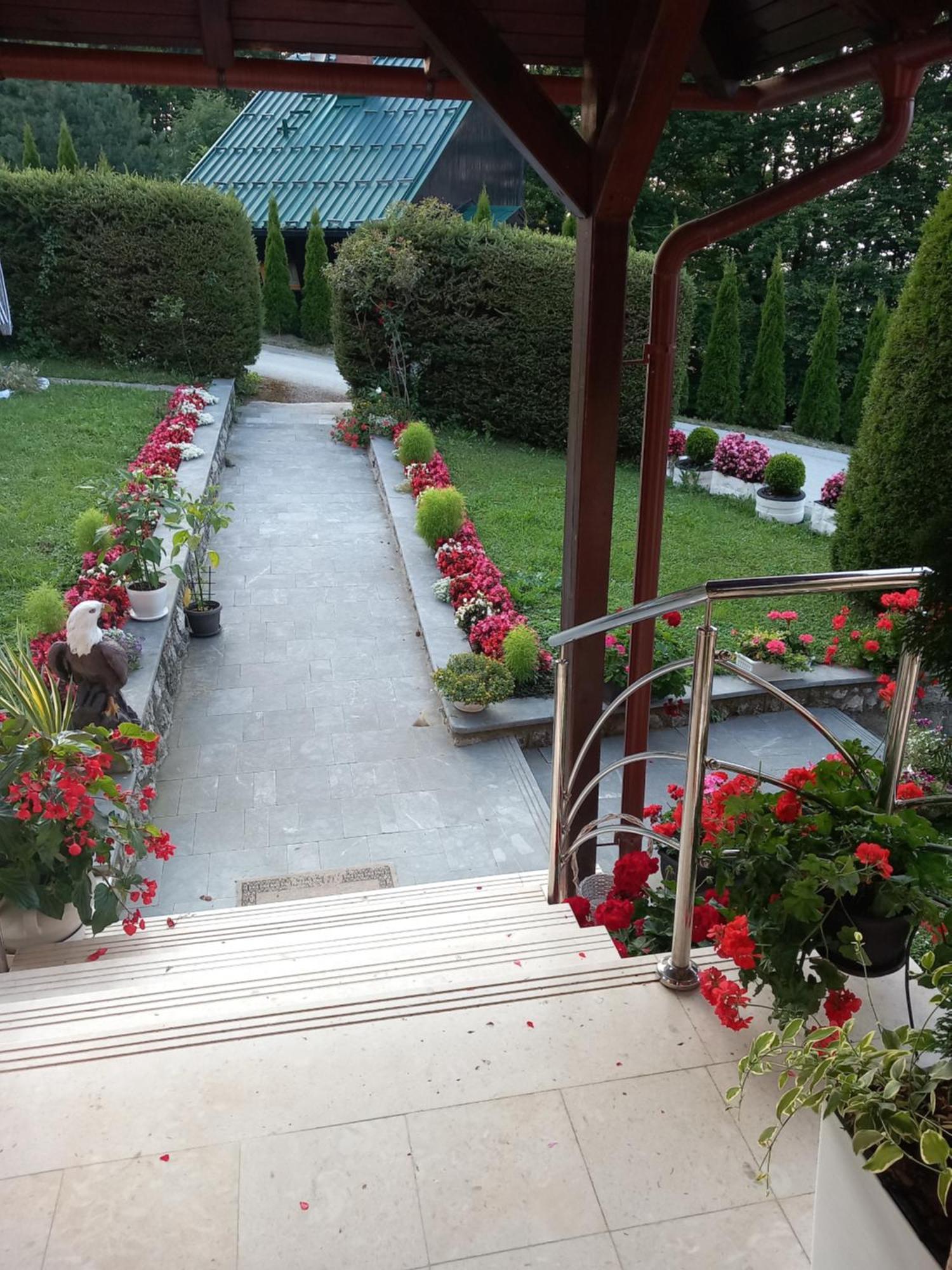 Apartment Vihor Zlatibor Buitenkant foto